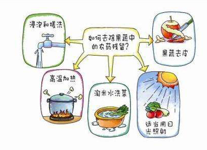 如何減少農(nóng)藥污染去除農(nóng)藥殘留？振華化工總結(jié)以下幾點(diǎn)分享給大家